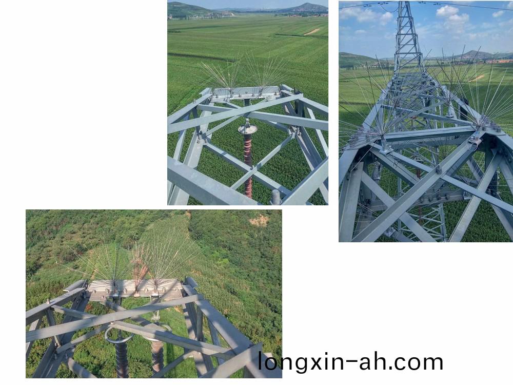 驅鳥刺(ci)施工(gong)現場